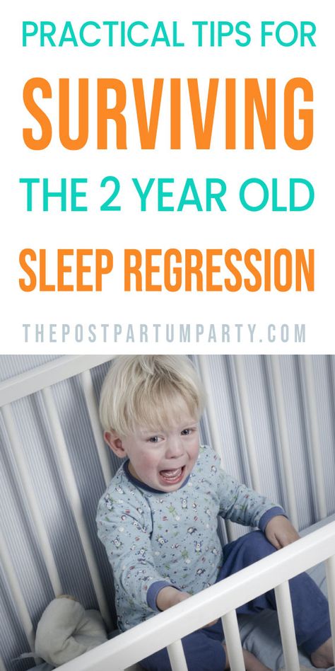 Two Year Old Sleep Schedule, 2 And A Half Year Old Sleep Schedule, 2 Year Sleep Regression, Postpartum Party, Toddler Sleep Regression, Sleep Hacks, Sleeping Tips, Dog Pregnancy Announcement, Newborn Sleep Schedule