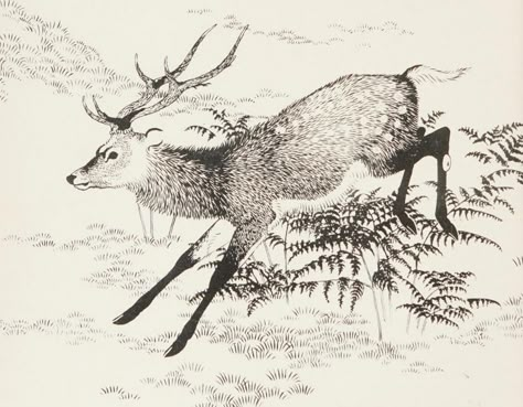 *ੈ✩‧₊˚, Drawing Animals. Written and illustrated by... Animals Mythical, Running Tattoo, Deer Artwork, Deer Running, Deer Drawing, Art Style Ideas, Deer Illustration, Simple Illustrations, Vintage Animals