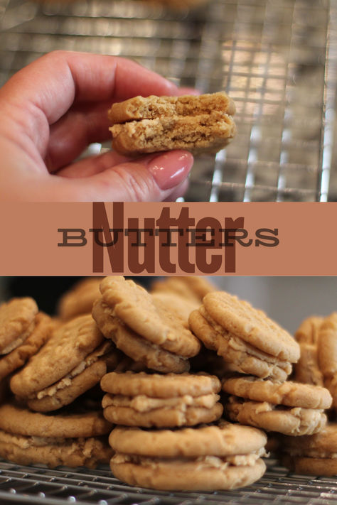 Home Made Nutter Butter Cookies, Diy Nutter Butter Cookies, Nutter Butter Cookie Recipes, Nutter Butter Recipes, Homemade Nutter Butter Cookies, Homemade Peanut Butter Cookies, Nutter Butter Cookies, Nutter Butter, Roll Cookies