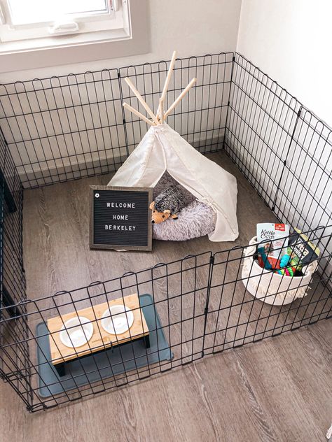 New Puppy Area Ideas, Dog Toy Bin Ideas, Cute Puppy Crate Ideas, Dog Starter Kit, Dog Playpen Setup, Crate Set Up For Puppy, Puppy Cage Set Up, Puppy Kennel Ideas Indoor, Puppy Storage Ideas