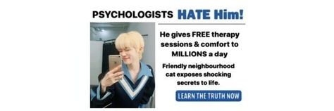 Chanhee Header, Psychologist, The Secret, The Neighbourhood