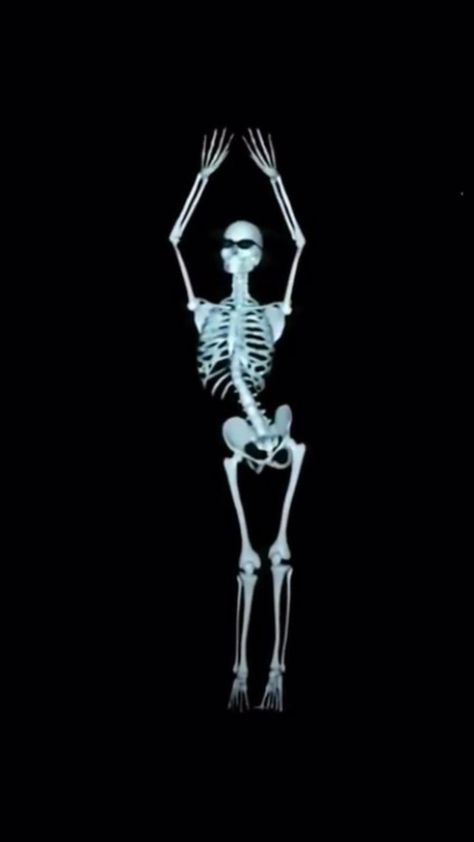 Skeleton dance in 2022 | Pretty songs, Feel good videos, Life is strange wallpaper Skull Stim Gif, Wallpaper Backgrounds Skeleton, Skeleton Wearing Headphones, Disturbing Wallpaper, Skeleton Video, Skeleton Pfp, Wallpaper Skeleton, Skeletons Wallpaper Aesthetic, Spooky Scary Skeletons