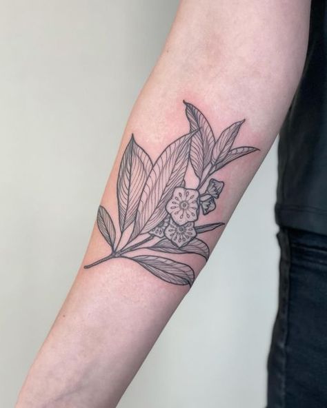 Mountain Laurel Tattoo Pennsylvania, Mountain Laurel Tattoo Simple, Laurel Flower Tattoo, Mountain Laurel Drawing, Mountain Laurel Tattoo, Laurel Tattoo, Laurel Flower, Men Flower Tattoo, Word Doodles