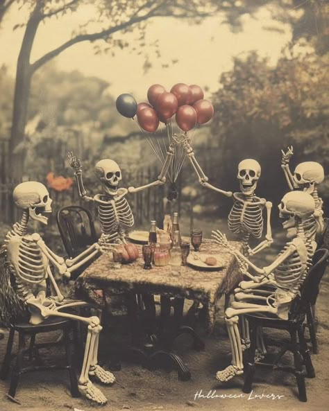 Boyfriend Date Night, Skeleton In The Closet, Really Cool Backgrounds, Skeleton Aesthetic, Skeleton Pics, Boyfriend Date, Skeleton Wallpaper, The Bone Collector, Skeletons In The Closet