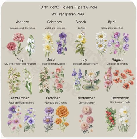 Scorpio Flower Birth Month, Capricorn Flower Birth Month, Flowers For Months Of The Year, Birth Month Birds, Birth Animals By Month, Capricorn Flower, Virgo Flower, Birthmonth Flower, Birth Animal