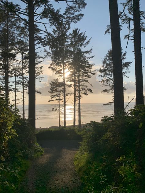 Washington Beach Aesthetic, Washington State Beaches, Oregon Beach Aesthetic, Washington Coast Aesthetic, Oregon Coast Aesthetic, Washington State Aesthetic, Oregon Beach House, Pnw Summer, Ocean Shores Washington