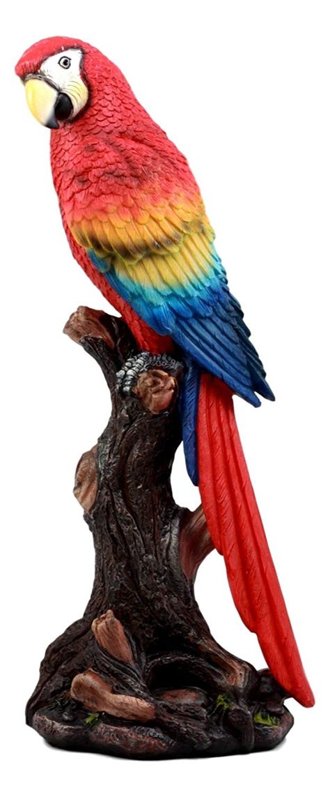 Amazon.com: Ebros Gift Beautiful Tropical Rainforest Paradise Bird Scarlet Macaw Parrot Statue Perching On Tree Branch Decorative Figurine 13.75" Tall: Home & Kitchen Parrot Statue, Rainforest Birds, Paradise Bird, Scarlet Macaw, Parrot Perch, Tropical Parrot, Tropical Animals, Macaw Parrot, Sculptures Céramiques