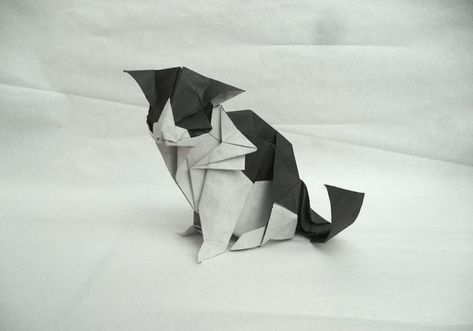 25 Purr-fect Origami Cats, Fur Real, I'm not Kitten... Origami Cat Instructions, Cat Origami, Cat Money, Tutorial Origami, Origami Ball, Origami Bookmark, Cute Origami, Origami Dragon, Origami For Beginners