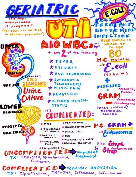 Hanson's Anatomy - Internal Medicine Notes Anatomy Medical Notes, Er Nursing, Nursing School Clinicals, Geriatric Nursing, Anatomy Medical, Medical Notes, Nursing Assessment, Medicine Notes, Nurse Study Notes