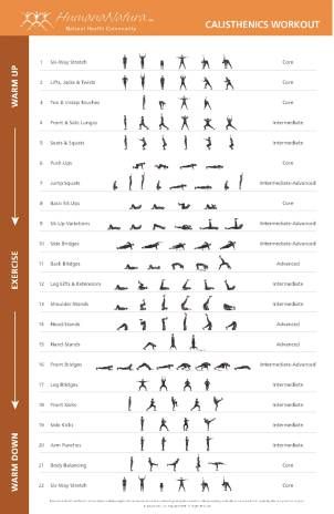 Calisthenics Poster | NaturaLife Calisthenics Program, Calisthenics Workout Routine, Calisthenics Workout Plan, Diy Gym, Gymnastics Poses, List Of Skills, Bodybuilding Motivation Quotes, Workout Posters, Printable Workouts