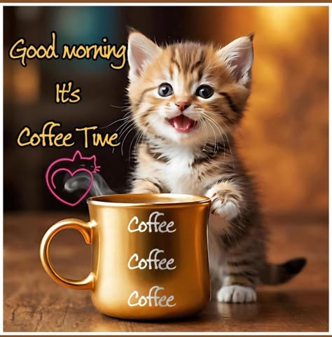 Cat Good Morning, Morning Sister, Coffee Lover Humor, Good Morning Cat, Good Morning Cartoon, Good Morning Sister, Good Monday Morning, Love Good Morning Quotes, Funny Day Quotes