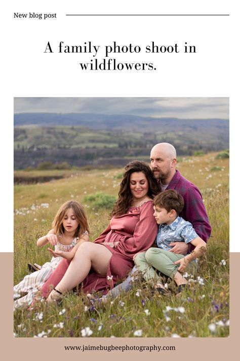 If your family loves the outdoors, and are adventurous, then this blog is for you. You’ll learn when these beauties bloom and the best time of day to have family photos taken in these stunning wildflowers. rowena crest photoshoot, portland oregon photographer, columbia river gorge wildflowers. Yellow Wildflowers, Spring Family, Columbia River Gorge, Columbia River, Family Photoshoot, Family Love, Portland Oregon, News Blog, The Outdoors