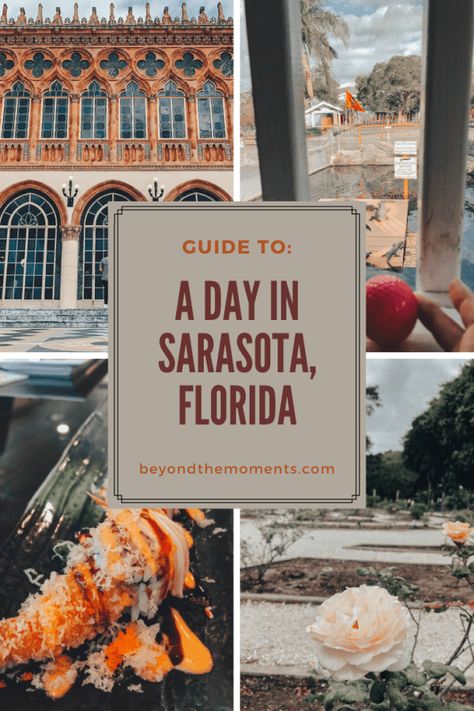 How to Spend a Day in Sarasota, Florida - Beyond The Moments Eating Sushi, Ringling Museum, Florida Adventures, Feeding Baby, Sarasota Florida, Sarasota Fl, Mini Golf, Sunshine State, Florida Travel