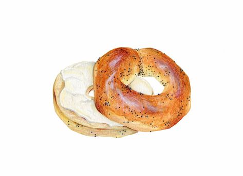 Bagel and Cream Cheese Illustration | Food illustrations, Dessert illustration, Illustration food