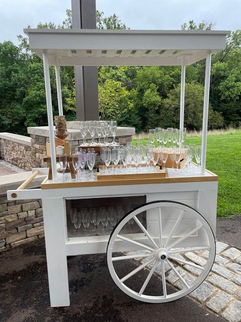 Party Rental Ideas, Mobile Bar Cart, Nyc Metro, Sweet Carts, Service Area, Drink Cart, Food Cart Design, Candy Cart, Mobile Bar