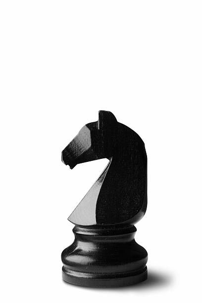 Chess Pieces Reference, Chess Pieces Art, Chess Piece Knight, Chess Horse, Knight Chess Piece, Chess Knight, Chess Art, Chess Figures, Knight Chess