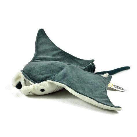 Fish Plush, Cute Shark, Silly Animals, Cuddly Toy, Cute Stuffed Animals, Marine Animals, Cute Plush, Stingray, Sea Animals