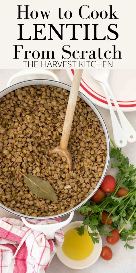 Cooking Lentils, Lentils Nutrition, Cook Lentils, Lentils Benefits, Lentils Protein, Lentil Recipes Easy, How To Cook Lentils, Lentils Recipe, Lentil Nutrition Facts