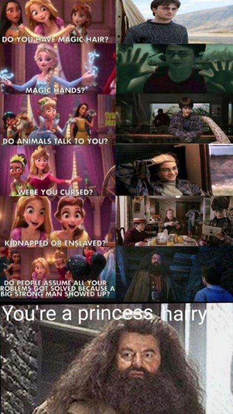 Your a princess 👸 Harry You're A Princess Harry, Your A Princess Harry, Harry Your A Princess, Harry Potter Is A Princess, Disney Princess Hogwarts Houses, Harry Potter Memes Funny So True Clean, Harry Potter Comics Funny, Harry Potter Memes Funny, Harry Potter Cursed