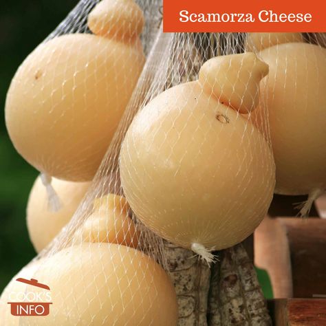 Scamorza cheese is a semi-soft white cheese that is like a firm, drier mozzarella. There are fresh and aged versions of it, as well as smoked and unsmoked. Scamorza Cheese, Pasteurizing Milk, White Cheese, Travel Italy, Milk Cans, Fresh Mozzarella, Cheese Ball, Soft White, Cooking Tips