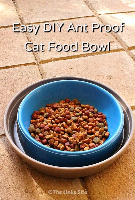 Easy DIY Way to Ant Proof A Cat Food Bowl! thelinkssite.com Cat Stuff Diy, Diy Cat Scratching Post, Pete The Cat Costume Diy, Cat Food Station, Diy Cat Food, Pete The Cat Costume, Cat Shelters, Cat Feeding Station, Feral Cat House