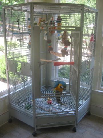 Macaw Cage Setup, Aesthetic Bird Cage Setup, Macaw Cage Ideas, Parrotlet Cage Setup, African Grey Parrot Cage Ideas, Grey Parrot Cage, Cockatiel Cage Setup, Bird Cages Ideas, Bird Cage Ideas