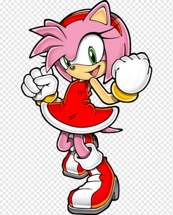 Sonic The Fighters, Amy Rose Hedgehog, Rosy The Rascal, Big The Cat, Hedgehog Drawing, Sonic Unleashed, Sonic Adventure 2, Amy The Hedgehog, Happy Birthday Text