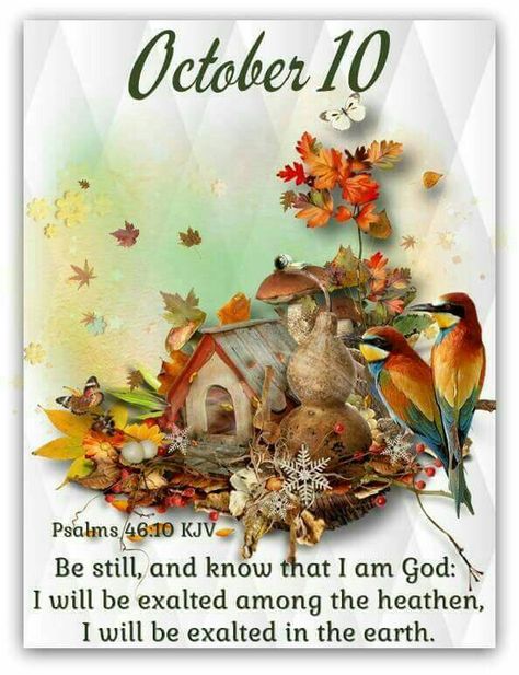 #Fr3311 #October10 (2020) #14909 (2019) #Psalms46v10 KJV #DailyBlessing www.facebook.com/Judiann.F October 10 Blessings, December 4 Blessings, October Blessings, December Scriptures, December Pictures, October Daily, Dog Sympathy Card, October Quotes, God Blessings