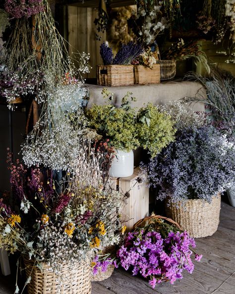 Dried Florals, Flower Studio, Open Studio, New Earth, On Wednesday, In The Studio, Beautiful Space, Dried Flower, Honey Bee