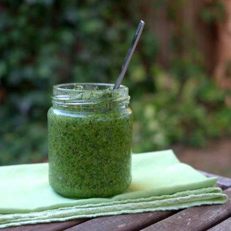 A Simple Sorrel Pesto (AIP Reintroduction) - joannafrankham.com Sorrel Recipes, Sorrel Recipe, Paleo Pesto, Greens Recipes, Spring Soups, Farm Recipes, Dry Mixes, Lectin Free, How To Roast Hazelnuts