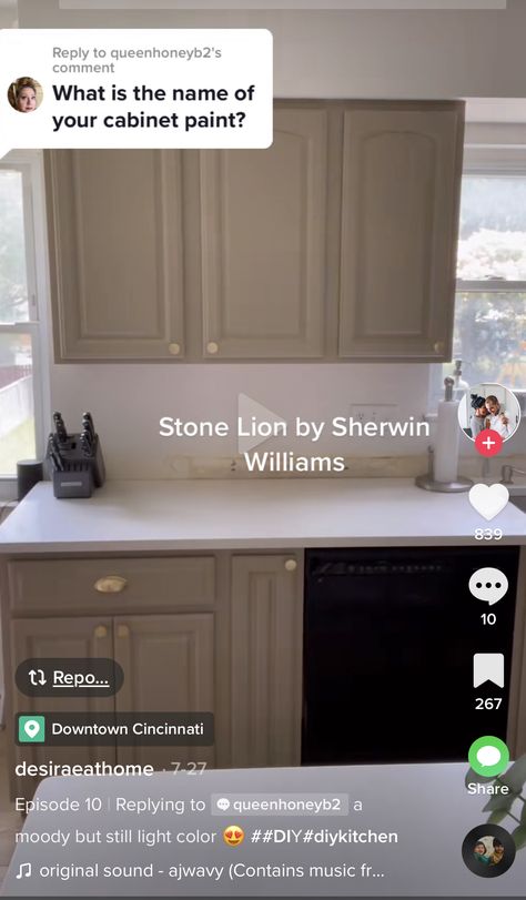 Brown Cabinets Kitchen Paint, Cocoa Kitchen Cabinets, Brown Cabinet Paint Colors, Dark Tan Kitchen Cabinets, Stone Lion Sherwin Williams Cabinets, Tan Painted Kitchen Cabinets, Clay Kitchen Cabinets, Neutral Kitchen Cabinet Colors, Brown Painted Cabinets