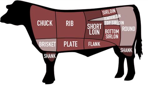 Parts Of A Cow, Roasted Olives, Beef Cow, Raising Cattle, New Potatoes, Showing Livestock, Beef Cattle, Beef Chuck, Animal Science