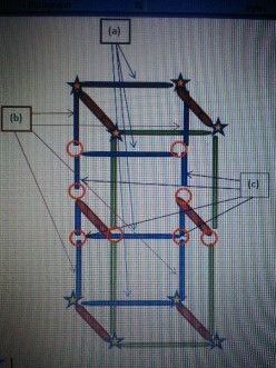 Dressing room from PVC pipe! Winter project for the teardrop trailer!! Dress Room Ideas, Portable Changing Room, Portable Dressing Room, Kids Room Divider, Boutique Displays, Cafe Idea, Dress Room, Ruby Ribbon, Diy Clothes Rack