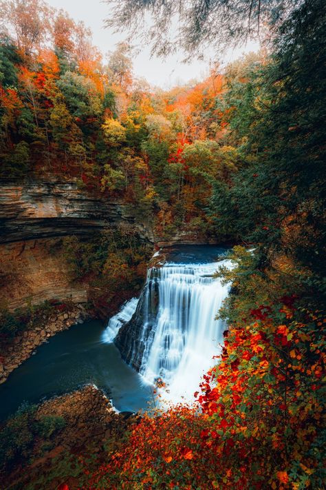 Sparta Tennessee, Burgess Falls State Park, Burgess Falls, Serenity Now, Waterfall Features, Landscape Photography Nature, National Photography, Landscape Scenery, Travel Beauty