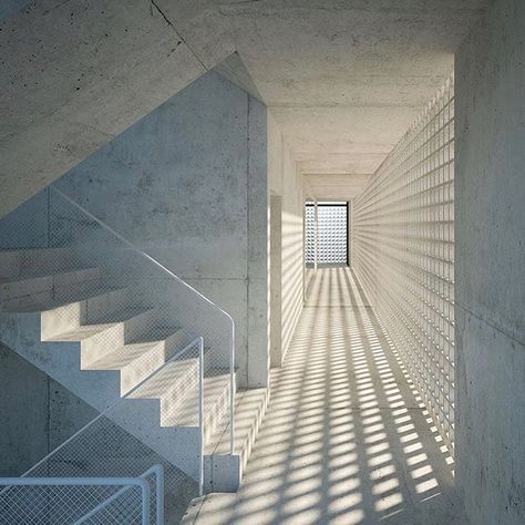 HH59 Zürich Meyer Dudesek ArchitectVia @julietteabry...#thebeauty #light #simplejoys #calm #space #grid #window #lightplay Shadow Architecture, Exterior Stairs, Stairs Architecture, Facade Lighting, Light And Space, Zaha Hadid, Facade Architecture, Light Architecture, Brutalism