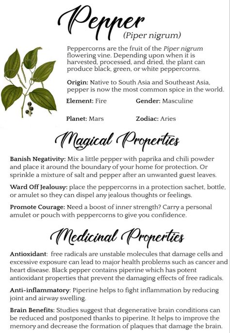 Peppercorn Magical Properties, Grimoire Inspiration, Witchy Herbs, Herb Magick, Herb Magic, Witchy Spells, Magical Ingredients, Deadly Plants, Herbal Witch