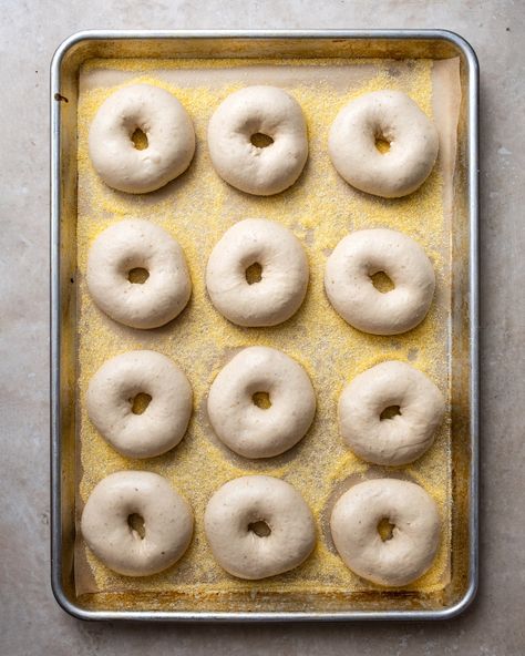 Sourdough NY Style Bagels — The Boy Who Bakes Ny Bagels, The Boy Who Bakes, Buns Homemade, Sourdough Bagels, Homemade Baked Bread, Homemade Sourdough, Making Bread, Sourdough Pizza, Ny Style