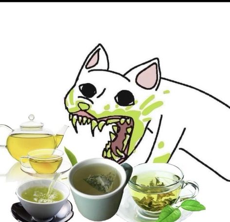 Tea Meme, Goofy Drawing, Weird Images, Silly Cats Pictures, Silly Images, Me Too Meme, Silly Me, Silly Cats, Really Funny Pictures