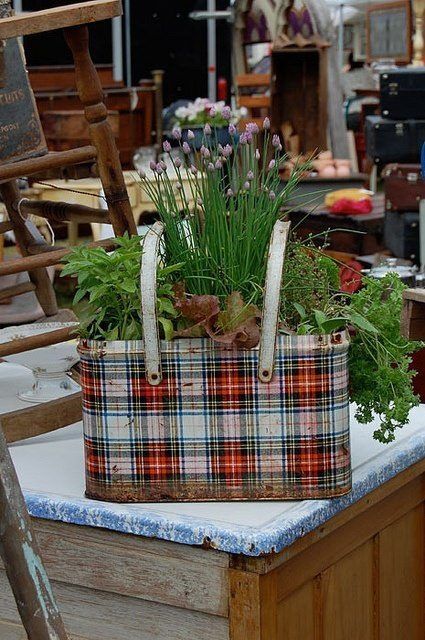 Plant pot!.. regretting not getting the picnic basket from goodwill Tin Basket, Vintage Picnic Basket, Vintage Picnic, Garden Junk, Garden Containers, Furniture Trends, Vintage Garden, Plant Design, Wreath Decor