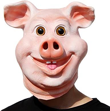 Walmart Costumes, Animal Head Mask, Pig Mask, Animal Halloween Costumes, Happy Pig, Funny Pigs, Head Mask, Scary Halloween Costumes, Animal Head