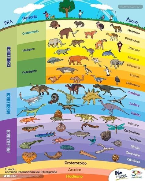 Darwin's Theory Of Evolution, Evolution Art, Fish Gallery, Dinosaur Era, Paper Boy, Theory Of Evolution, Dinosaur Pictures, The Good Dinosaur, Prehistoric Animals