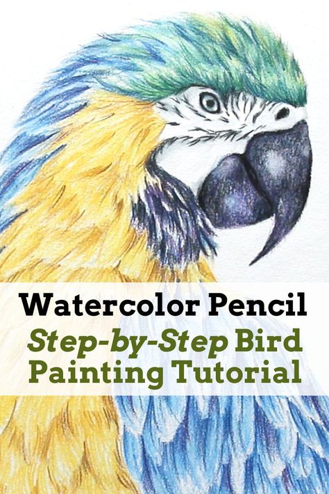 Yellow Rose Painting, Pencil Art For Beginners, Sketching Watercolor, Watercolor Pencils Techniques, Blue And Gold Macaw, Water Color Pencils, Watercolor Pencil Art, Water Color Pencil, Watercolor Tutorials