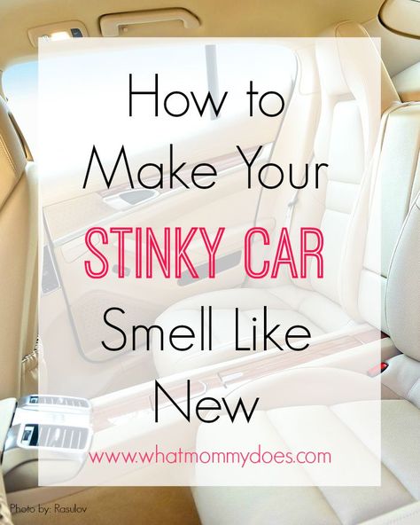 This post was sponsored by Perk Vent Wrap on behalf of IZEA. All opinions are 100% my own. You recognize it immediately when you get into a new car. That new car smell.  So hard to describe, but unmistakable when you experience it. I love the new car smell but don’t get to smell it very often because our cars are an average of 7 years old.     How to Get the New Car Smell Back! You can imagine my excitement when I was asked to test out the new PERK Vent Wrap and one of the scents they gave me New Car Smell, Password Organizer, Wallpaper Luxury, Deep Cleaning Tips, Car Smell, Car Cleaning Hacks, Car Hacks, Simple Life Hacks, House Cleaning Tips