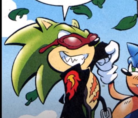 Scourge The Hedgehog, Sally Acorn, Sonic Characters, Sonic Fan Characters, Archie Comics, The Hedgehog, Anime Dragon Ball, Colorful Heart, Cute Icons