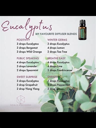 Essential Oil For Hair, Eucalyptus Radiata, Essential Oil Remedies, Helichrysum Essential Oil, Doterra Diffuser, Doterra Diffuser Blends, Essential Oils For Pain, Doterra Essential Oils Recipes, Essential Oil Diffuser Blends Recipes