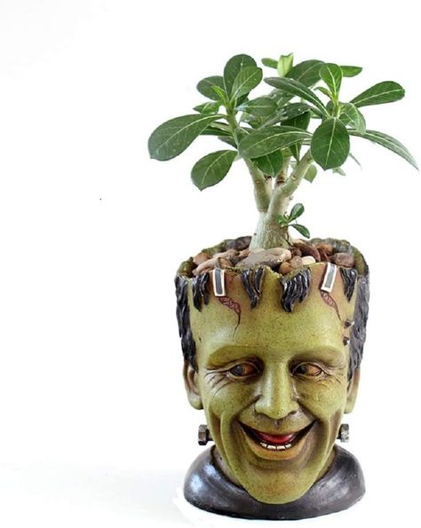 Amazon.com : Funny Planter Youfui Head Planter with Drainage Hole Resin Plant Pot Pencil Holder Desk Storage (Frankstein) : Patio, Lawn & Garden Resin Pen, Bonsai Flower, Planter Indoor, Head Planters, Plants Garden, Flower Holder, Indoor Plant Pots, Flower Skull, Resin Flowers