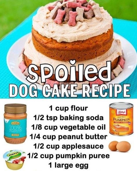 Kristin & Dawson Reddin on Instagram: “Check out this quick & easy recipe!! https://www.lovefromtheoven.com/spoiled-dog-cake-recipe/ #spoiledpuppy #spoileddogs #dogcakerecipe…” Spoiled Dog Cake, Dog Cake Recipe, Danny Dog, Pup Treats, Dog Cake Recipes, Pet Treats Recipes, Spoiled Dog, Easy Dog Treat Recipes, Dog Biscuit Recipes