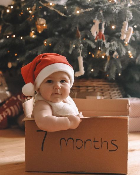 29 *Ridiculously Cute* Baby’s First Christmas Photo Ideas (That You Can DIY!) First Christmas Photo Ideas, Christmas Baby Photoshoot, Baby Photo Shoot Ideas, Creative Picture Ideas, Christmas Photo Ideas, Christmas Baby Pictures, Baby Photo Shoot, Baby Christmas Photos, First Christmas Photos