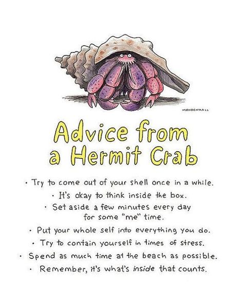 Hermit Crab Hermit Crab Homes, Cute Cubicle, Hermit Crab Habitat, Hermit Crab Tank, Beach House Sign, Psychology Gifts, College Dorm Decor, Crab Print, Hermit Crabs