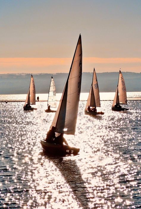 Sailing Aesthetic, Yacht Design, Tall Ships, Set Sail, Sailboats, Catamaran, A Group, Sailing Ships, Places To Go